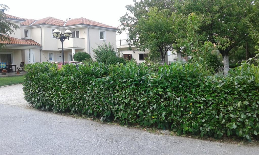 Drazice Apartment Casa Eni מראה חיצוני תמונה